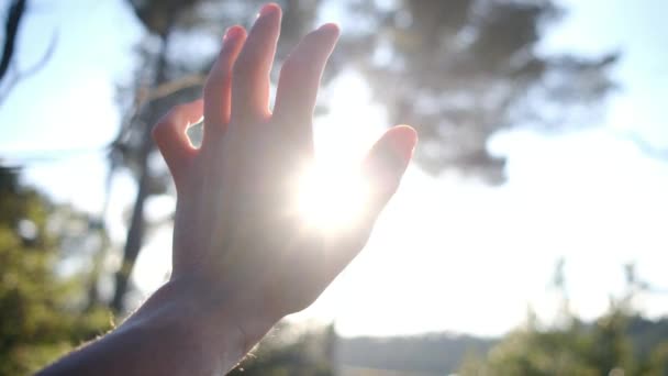 Σιλουέτα Χέρι Στον Ήλιο Θρησκεία Βοηθάει Ευτυχισμένο Κορίτσι Τραβάει Χέρι — Αρχείο Βίντεο