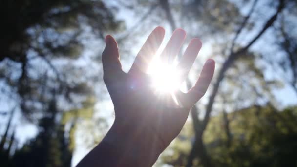 Силует Руки Сонця Релігія Допомагає Руці Щаслива Дівчина Тягне Руку — стокове відео