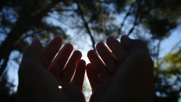 Силует Рук Сонця Релігія Допомагає Рукам Щаслива Дівчина Тягне Свої — стокове відео