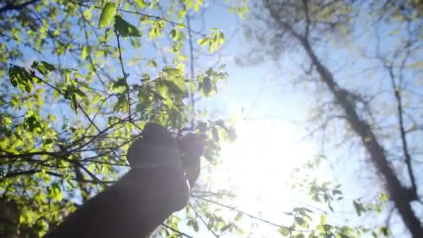 Het Silhouet Van Hand Naar Zon Religie Helpt Mee Gelukkig — Stockvideo