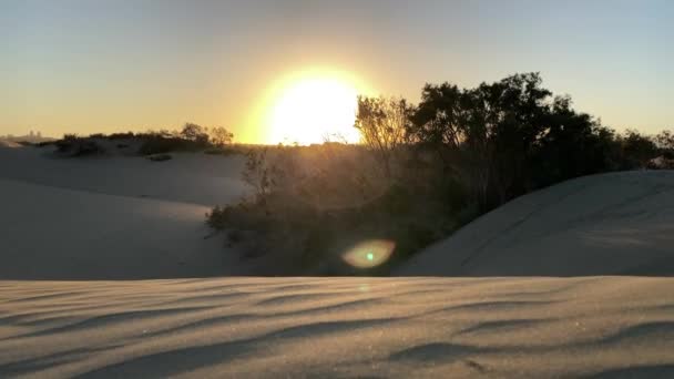 ランドスケープデスバレー国立公園モハーベ砂丘 砂漠の風景 厳しい高温 気候変動 地球温暖化 極端な熱干ばつ — ストック動画