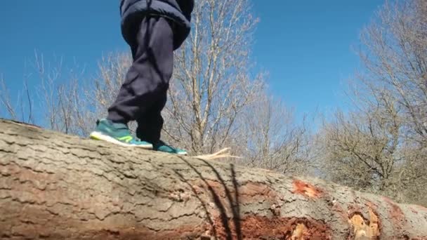 男孩在树桩上散步的近景 — 图库视频影像