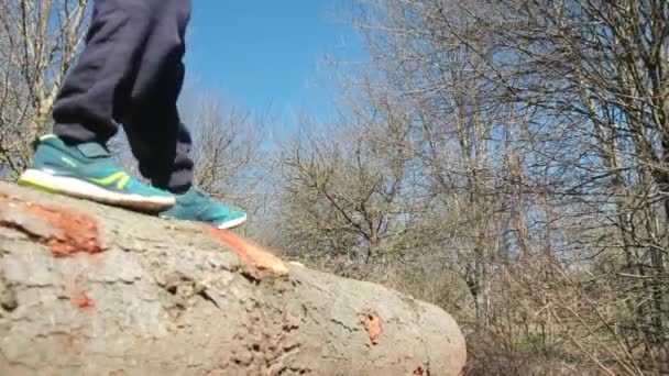 Närbild Pojke Promenader Träd Log — Stockvideo