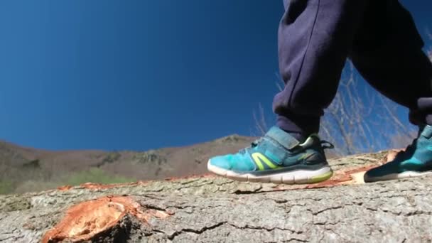 Vista Cerca Del Niño Caminando Tronco Del Árbol — Vídeo de stock