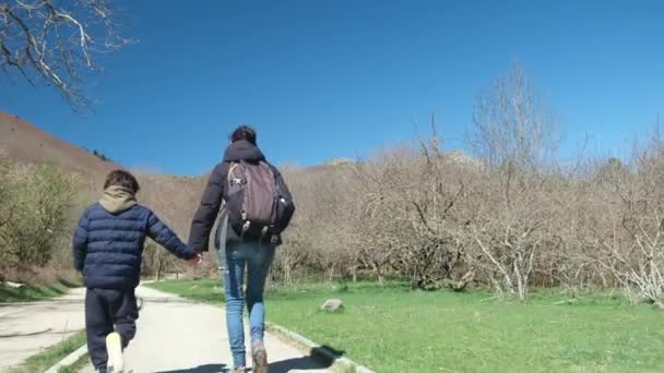Mãe Com Filho Caminhando Pelo Parque Dia Ensolarado — Vídeo de Stock
