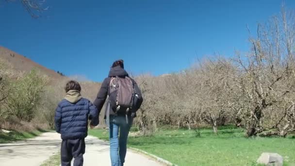 在阳光灿烂的日子里 母亲和儿子在公园里散步 — 图库视频影像