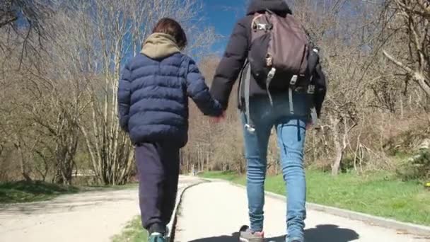 在阳光灿烂的日子里 母亲和儿子在公园里散步 — 图库视频影像