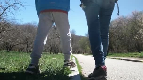 Мать Сыном Прогуливаются Парку Солнечный День — стоковое видео