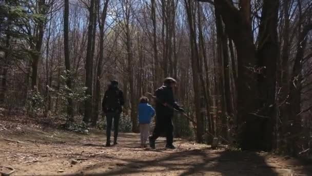 Familie Spaziergänge Durch Den Wald Einem Sonnigen Tag Kontakt Mit — Stockvideo