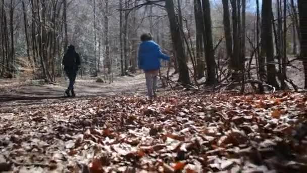 Famiglia Passeggiando Nella Foresta Una Giornata Sole Contatto Con Natura — Video Stock