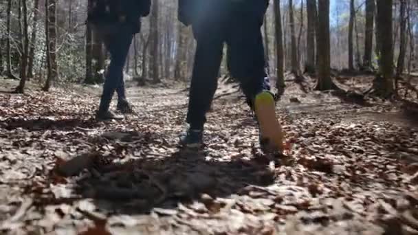 Familj Promenader Genom Skogen Solig Dag Kontakt Med Naturen Välbefinnande — Stockvideo