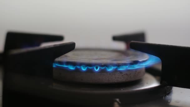Blue Natural Gas Flames Cámara Lenta Cerca — Vídeos de Stock