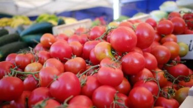 Çiftçi pazarında taze organik sebzeler ve bitkiler. Yerel çiftçi pazarında satılan renkli çiğ sebzeler ve otlar. Dünya konsepti, taze hasat.