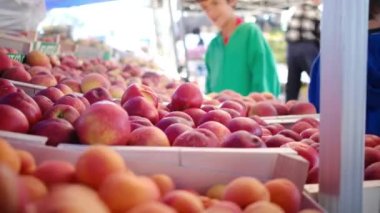 Çiftçi pazarında taze organik sebzeler ve bitkiler. Yerel çiftçi pazarında satılan renkli çiğ sebzeler ve otlar. Dünya konsepti, taze hasat.