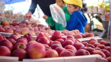 Çiftçi pazarında taze organik sebzeler ve bitkiler. Yerel çiftçi pazarında satılan renkli çiğ sebzeler ve otlar. Dünya konsepti, taze hasat.