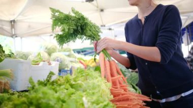 Çiftçi pazarında taze organik sebzeler ve bitkiler. Yerel çiftçi pazarında satılan renkli çiğ sebzeler ve otlar. Dünya konsepti, taze hasat.
