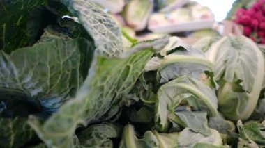 Çiftçi pazarında taze organik sebzeler ve bitkiler. Yerel çiftçi pazarında satılan renkli çiğ sebzeler ve otlar. Dünya konsepti, taze hasat.