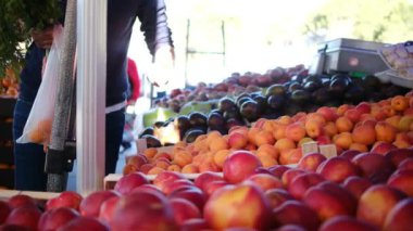Çiftçi pazarında taze organik sebzeler ve bitkiler. Yerel çiftçi pazarında satılan renkli çiğ sebzeler ve otlar. Dünya konsepti, taze hasat.