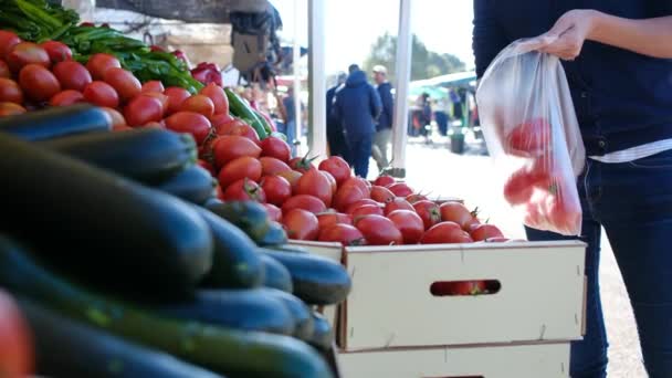 Verduras Hierbas Orgánicas Frescas Mercado Los Agricultores Verduras Crudas Coloridas — Vídeos de Stock