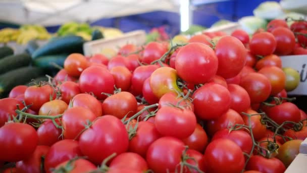 农民市场上新鲜的有机蔬菜和香草 当地农贸市场上出售的五彩缤纷的生菜和香草 地球概念 新鲜收获 — 图库视频影像