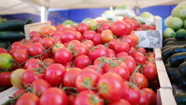 Sayuran Organik Segar Dan Herbal Pasar Petani Sayuran Mentah Berwarna — Stok Video