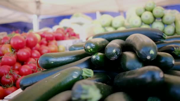 Čerstvá Ekologická Zelenina Bylinky Trhu Pro Zemědělce Barevná Syrová Zelenina — Stock video
