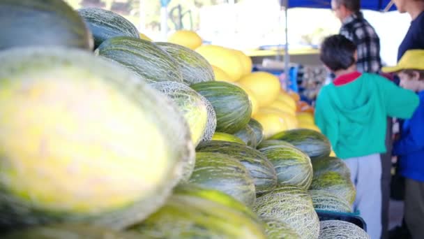 Sayuran Organik Segar Dan Herbal Pasar Petani Sayuran Mentah Berwarna — Stok Video