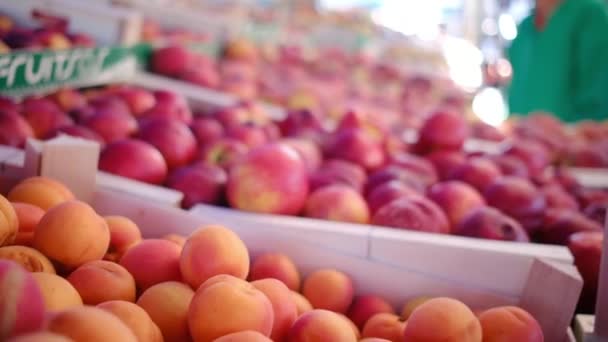 시장에서 신선한 유기농 야채와 농부의 시장에서 판매에 다채로운 익지않는 야채와 — 비디오