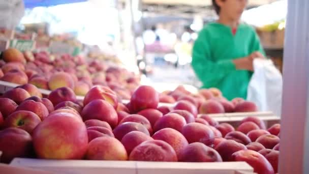 Φρέσκα Βιολογικά Λαχανικά Και Βότανα Στην Αγορά Των Αγροτών Πολύχρωμα — Αρχείο Βίντεο