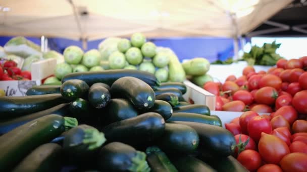 Verduras Hierbas Orgánicas Frescas Mercado Los Agricultores Verduras Crudas Coloridas — Vídeos de Stock