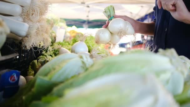 农民市场上新鲜的有机蔬菜和香草 当地农贸市场上出售的五彩缤纷的生菜和香草 地球概念 新鲜收获 — 图库视频影像