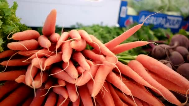 Verse Biologische Groenten Kruiden Boerenmarkt Kleurrijke Rauwe Groenten Kruiden Koop — Stockvideo