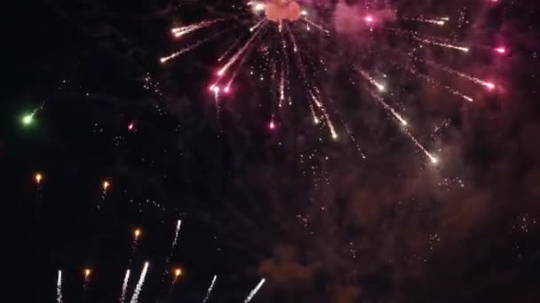 Fogos Artifício Com Luzes Bokeh Céu Noturno Fogos Artifício Multicoloridos — Vídeo de Stock