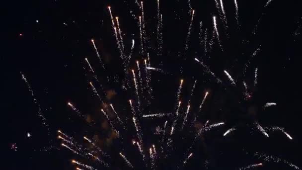 Vuurwerk Met Bokeh Lichten Aan Nachtelijke Hemel Veelkleurig Vuurwerk Nachtelijke — Stockvideo