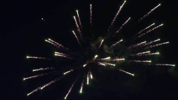 Fuegos Artificiales Con Luces Bokeh Cielo Nocturno Fuegos Artificiales Multicolores — Vídeos de Stock