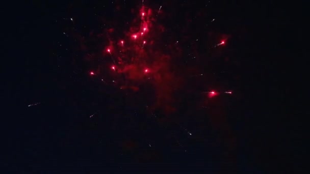 Vuurwerk Met Bokeh Lichten Aan Nachtelijke Hemel Veelkleurig Vuurwerk Nachtelijke — Stockvideo