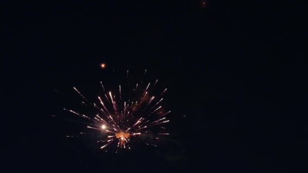 夜空にボケが点灯する花火 夜空に多彩な花火が咲きました 輝く花火のショー 美しい色の夜 新年のイブ輝く花火のお祝い — ストック動画