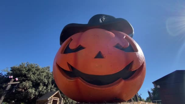 Decoração Halloween Com Abóbora — Vídeo de Stock
