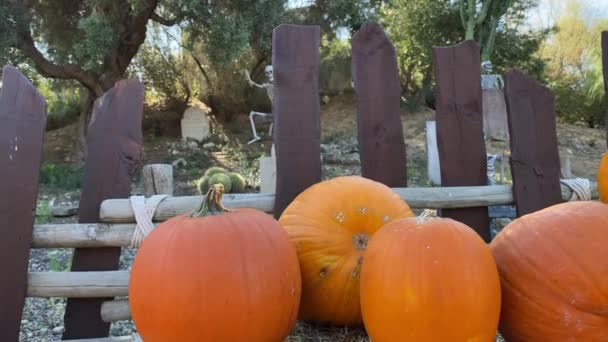 Decoração Halloween Jardim Livre Esqueleto Assustador Decorações Assustadoras Crânio Dos — Vídeo de Stock