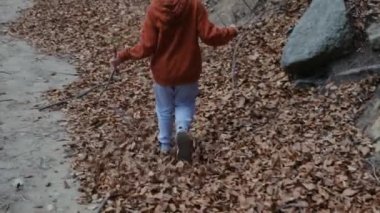 Ormanda düşen yapraklarla oynayan çocuk.