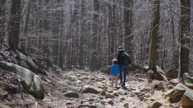 Aile güneşli bir günde ormanda yürürken, doğa ile temas, sağlık...