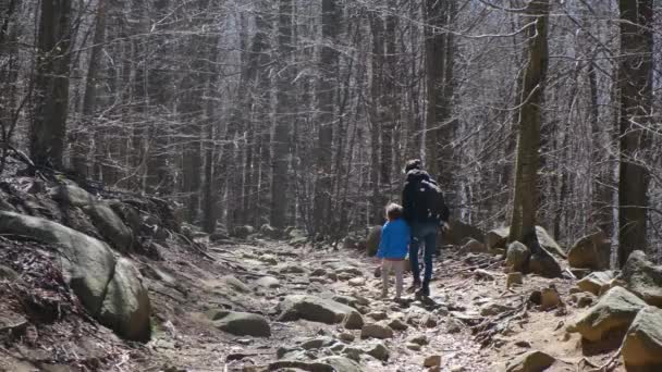 Familia Caminando Por Bosque Día Soleado Contacto Con Naturaleza Bienestar — Vídeos de Stock