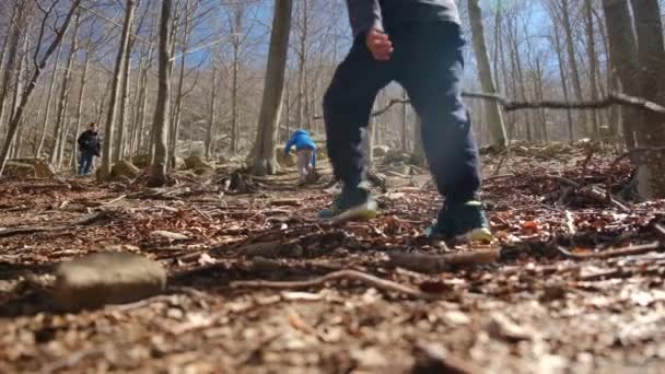 Familj Promenader Genom Skogen Solig Dag Kontakt Med Naturen Välbefinnande — Stockvideo