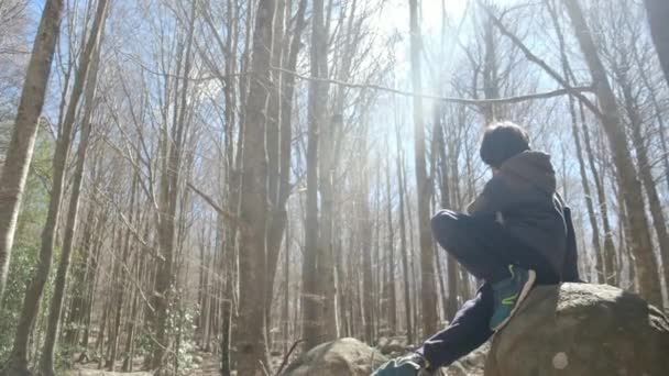 Barn Utforskar Promenader Genom Skogen — Stockvideo