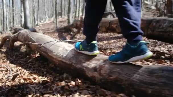 Дитина Досліджує Прогулянки Лісом — стокове відео