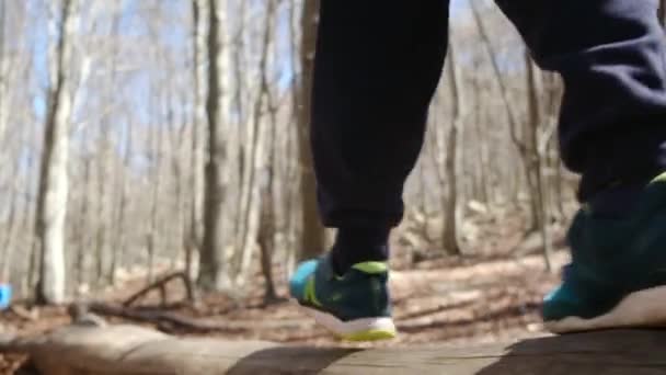 Barn Utforskar Promenader Genom Skogen — Stockvideo