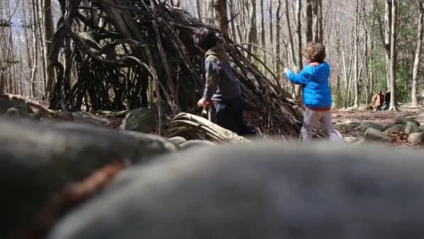 在阳光明媚的日子里 一家人在森林里散步 与大自然的健康接触 — 图库视频影像
