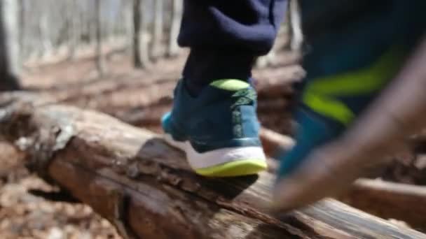 Gyermek Felfedezi Sétál Erdőben — Stock videók