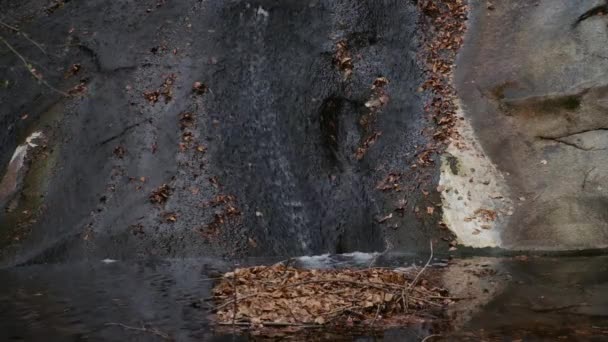 Morgon Höstskogen Med Litet Vattenfall — Stockvideo