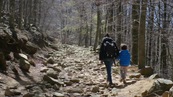Famiglia Passeggiando Nella Foresta Una Giornata Sole Contatto Con Natura — Video Stock